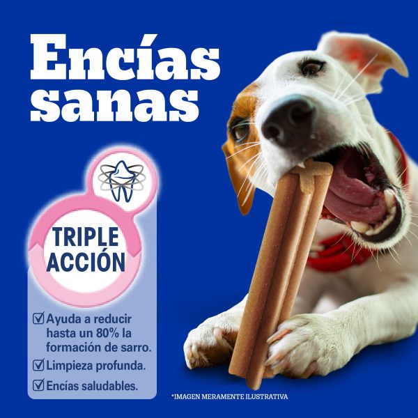 PED DENTASTIX RAZAS PEQUEÑAS 20 BLS X 1 UD