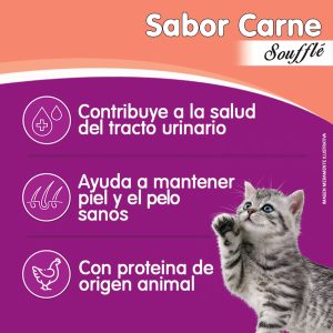 WHISKAS POUCH GATITO 12 X 85 GRS