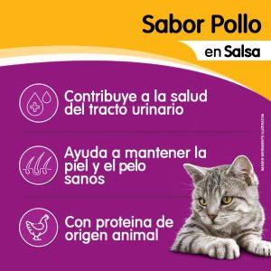 WHISKAS POUCH POLLO 12 X 85 GRS