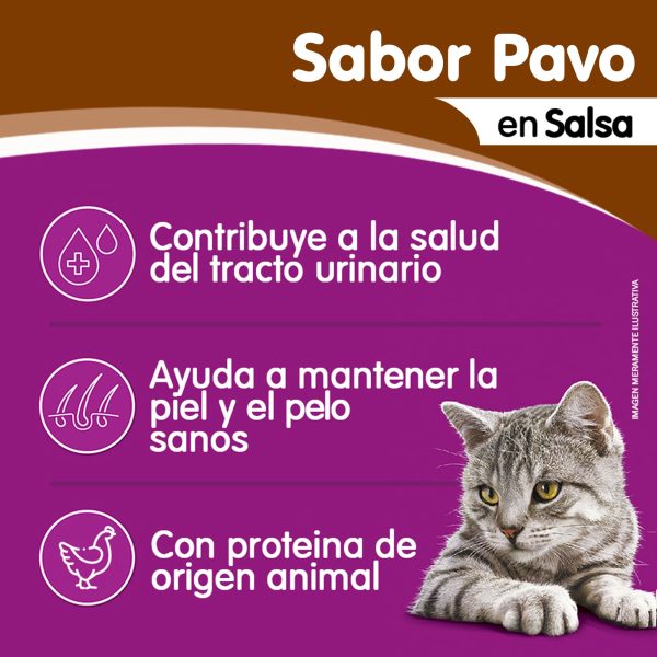 WHISKAS POUCH PAVO 12 X 85 GRS