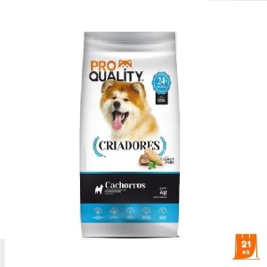 DS CRIADORES CACHORRO