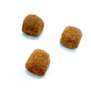 PROTEMIX PERRO X 21 KG